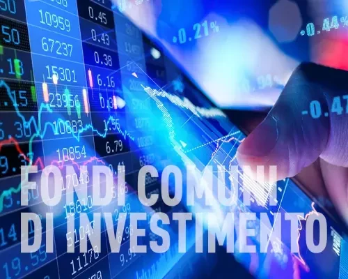 Articolo 1